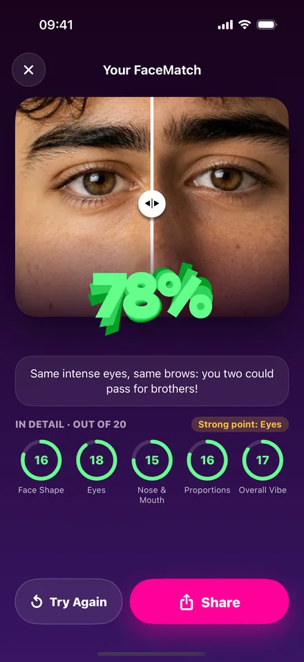 A FaceMatch result with every feature scored